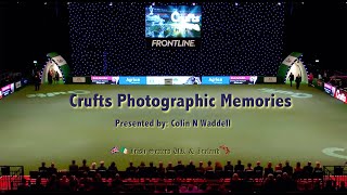 Crufts Irish Setter Photographic Memories [upl. by Dorothi]