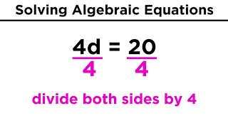 Algebraic Equations and Their Solutions [upl. by Elakram606]