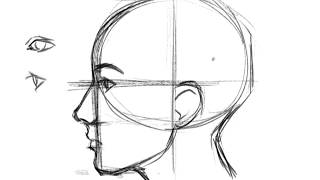 How to Draw a Face Profile [upl. by Adyeren]