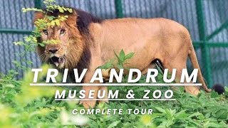 A Day at Trivandrum Museum and Zoo  Travel Vlog  LaskA Vlogs [upl. by Atiuqal]