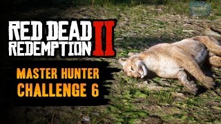 Red Dead Redemption 2 Master Hunter Challenge 6 Guide  Kill 5 Cougars with your Bow [upl. by Annekcm]