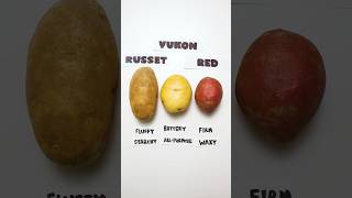 Potatoes Explained cooking shorts [upl. by Ailegnave]