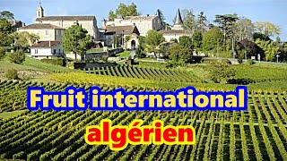 Le fruit algérien devenu mondialement connu et apprécié de tous [upl. by Tati350]