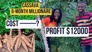 how he makes over 12000 in cassava farming business in Ghana cost and profit in cassava farming [upl. by Nnaillij210]