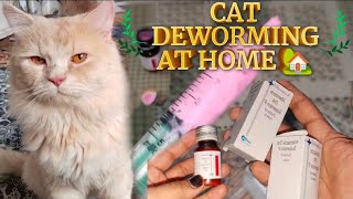 CAT DEWORMING AT HOME  How To Deworm Cats And Kittens  Cat Deworming Made Easy [upl. by Bathsheb]