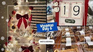 Vlogmas 2024  Day 6  Day In the Life  Doctor Visit  Chipotle  Update on Christmas Decor [upl. by Aplihs476]