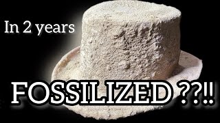 Super Fast Fossilization and the Recent Existence of the Dinosaur [upl. by Lertnahs]