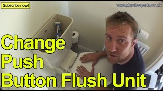 HOW TO CHANGE A PUSH BUTTON FLUSH UNIT  Plumbing Tips [upl. by Reinertson]