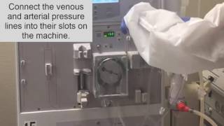 How to setup a dialysis Machine part II Hemodialysis Training [upl. by Nohsauq645]