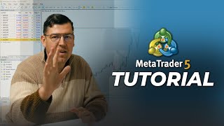 How to use Metatrader 5 on PC [upl. by Gmur]