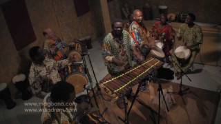 Wula Drum amp Dance NYC Music from Guinea Africa [upl. by Liagibba663]