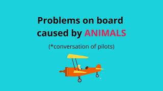 Listen aviation english Problems with animals [upl. by Ehcrop]