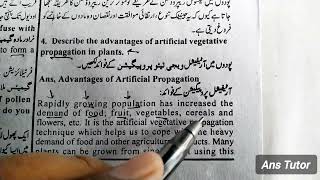 Artificial Vegetative Propagation in Plants  Whats the Most Effective Way of Plants Reproduction [upl. by Ardnosak]