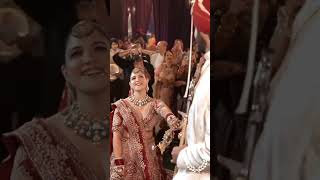 Dreamy bride entrance youtubeshorts viralvideo trendingshorts foryou [upl. by Harbot]