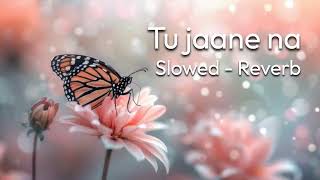 Tu jaane na  Slowed amp Reverb [upl. by Lorrimer]