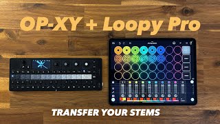 OPXY  Loopy Pro  Transfer your stems [upl. by Hcardahs]