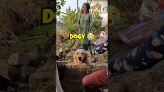 Cute Adventure 🥺 Dogvlog shorts vlog vlogger [upl. by Cnahc]