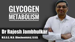 10 Glycogen metabolism Glycogenesis and Glycogenolysis [upl. by Ojyllek733]