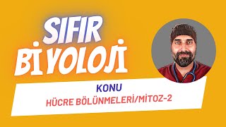 Hücre Bölünmeleri Mitoz2 Sıfır Biyoloji  Dr Biyoloji [upl. by Ativel]