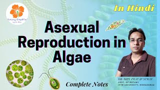 Asexual Reproduction in Algae  Zoospores  Aplanospores  Hypnospores  Akinetes  Hyterocyst [upl. by Laehpar]