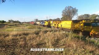 Aurizon Flying past Tabletop bound for Melbourne [upl. by Eecats]