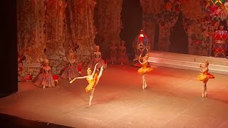 Nutcracker  Marzipan Dance solo  Olesya Bocharova [upl. by Damian]