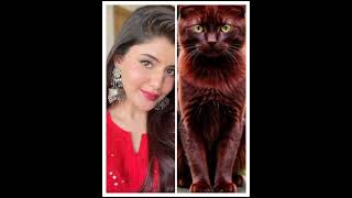 Anahita bhooshan vs beautiful 🐈😺 anahitabhooshan 💗💗 [upl. by Falo]