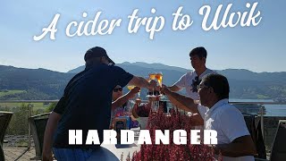 A Cider trip to Ulvik  HARDANGER  NORWAY [upl. by Spieler]