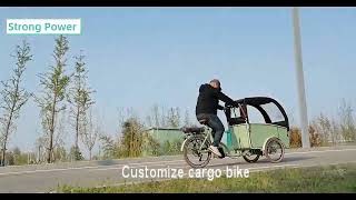 Pedal or Electric Version cargo bike tricycle can be customized as you want [upl. by Longley801]