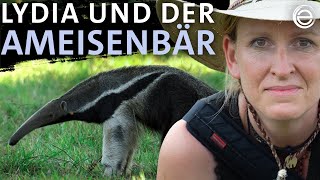 Lydia Möcklinghoff und der Ameisenbär – Erlebe das Pantanal  Erlebnis Erde [upl. by Hamaso]