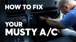 How to Get Rid of the Musty Smell From Your Car’s Air Conditioner  Consumer Reports [upl. by Phemia]