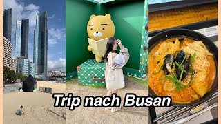 KOREA DIARIES 🇰🇷 Trip nach Busan Haeundae Beach koreanisch essen Photobox amp mehr [upl. by Isayg]