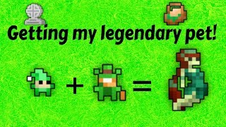 ROTMG Getting my legendary pet [upl. by Aneeroc]