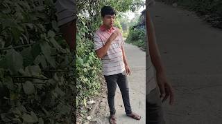 লজ্জায চলে গেলো😈👿funny behaya comedy youtubeshort trending dance behaya ashok love [upl. by Powe17]