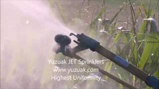 Yuzuak JET Sprinklers [upl. by Aivekal]