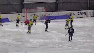 «Surte BK»«Borlänge Bandy» 4 Feb Bandyallsvenskan 202324 [upl. by Curhan]