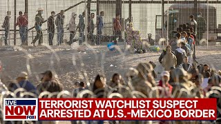 Terror watchlist suspect arrested after illegally entering US  LiveNOW from FOX [upl. by Enaj]