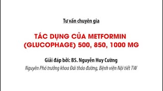 Thuốc tiểu đường Metformin Glucophage có tác dụng gì  Tư vấn bác sĩ [upl. by Travus760]