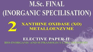 XANTHINE OXIDASE XO METALLOENZYME [upl. by Aimet858]