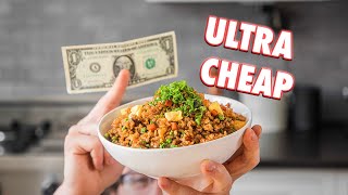 1 Dollar Fried Rice  But Cheaper [upl. by Eibba]