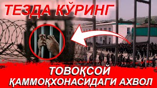 ТОВОҚСОЙ ҚАММОҚХОНАСИДАГИ АХВОЛ ОДАМ УЛСА ХАМ БОЛИШҚҚА П…ЙМИ [upl. by Josselyn]