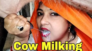 Cow Milking By Hand  Beautiful girl Drinking Cow Milking By Hand Village Woman Jaya Ghosh [upl. by Suillenroc]