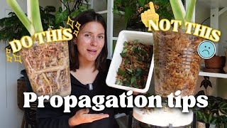 Propagation tips for maximum success [upl. by Ettelrats]