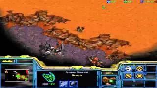 StarCraft Brood War Campaign Enslavers Dark Vengeance  Episode I 3 Nemesis Schezar Option [upl. by Munro]