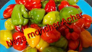 Naga moricher achar Ghost chilli achar Red naga chilliSpicy Naga pickle Recipe [upl. by Otilegna]