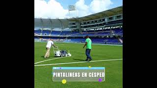 Demarcación de líneas de cancha de fútbol [upl. by Normand]