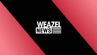 TRAILER WEAZEL NEWS WESTCOAST [upl. by Pravit696]