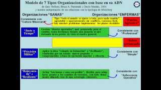 ORGANIZACIONES quotENFERMASquot y quotSANASquot [upl. by Ahsieka]