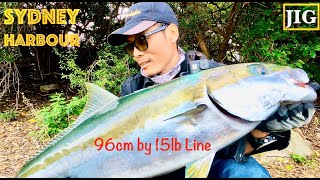 Shore Jigging  Sydney Harbour Kingfish [upl. by Colon488]