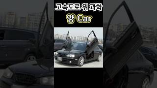 고속도로 위 과학 양카 🚗 K5 명예의 전당 입성🔝 [upl. by Marko]